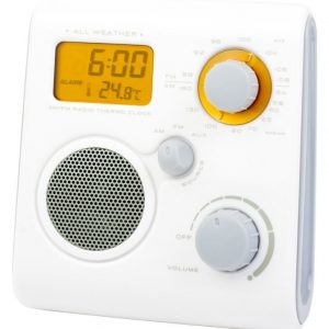 iZound Shower Radio